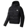 The North Face Women’s Hyalite Down Hooded Jacket