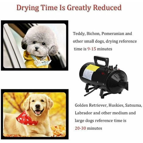 2800W Professional Motorcycle Power Dryer Car Blower Duster Flexible Hose High Pressure Air Flow Pet Hair Dryer 3 2800W Professional Motorcycle Power Dryer Car Blower Duster Flexible Hose High Pressure Air Flow Pet Hair Dryer - Image 3