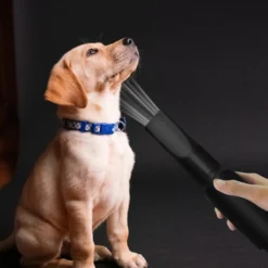 2800W Professional Motorcycle Power Dryer Car Blower Duster Flexible Hose High Pressure Air Flow Pet Hair Dryer 9 2800W Professional Motorcycle Power Dryer Car Blower Duster Flexible Hose High Pressure Air Flow Pet Hair Dryer -JELLYCAT SALES 82894916 5