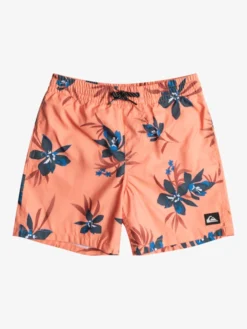Quiksilver Everyday Mix 14" - Swim Shorts For Boys 8-16
